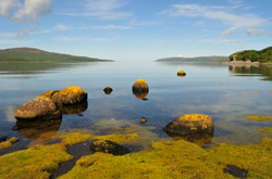 Argyll Cottage Holidays