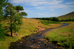 Cottages close to sandy beaches in Caithness