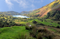 Gwynedd Cottage Holidays