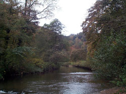 Leicestershire holiday cottages