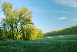 Nottinghamshire holiday cottages