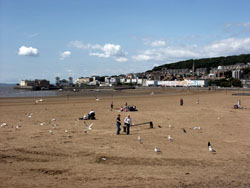 Somerset Cottage Holidays