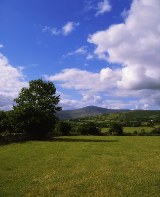 carlow holiday cottages