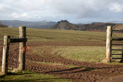 carmarthenshire holiday cottages