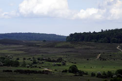 dorset holiday cottages