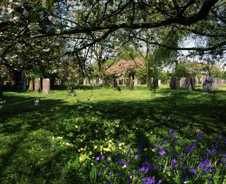 laois holiday cottages