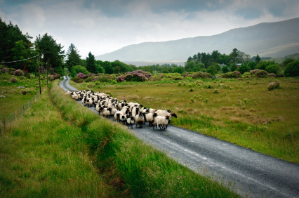 mayo holiday cottages