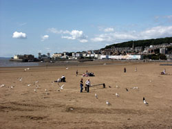 somerset holiday cottages